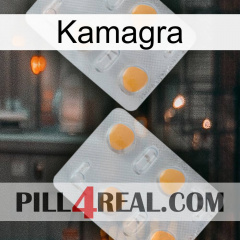 Kamagra 25